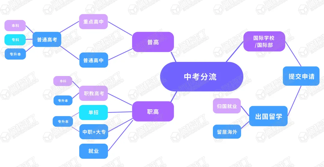 中考后的三大分流,普高、职高、国际学校,不同路线发展方向一文讲清