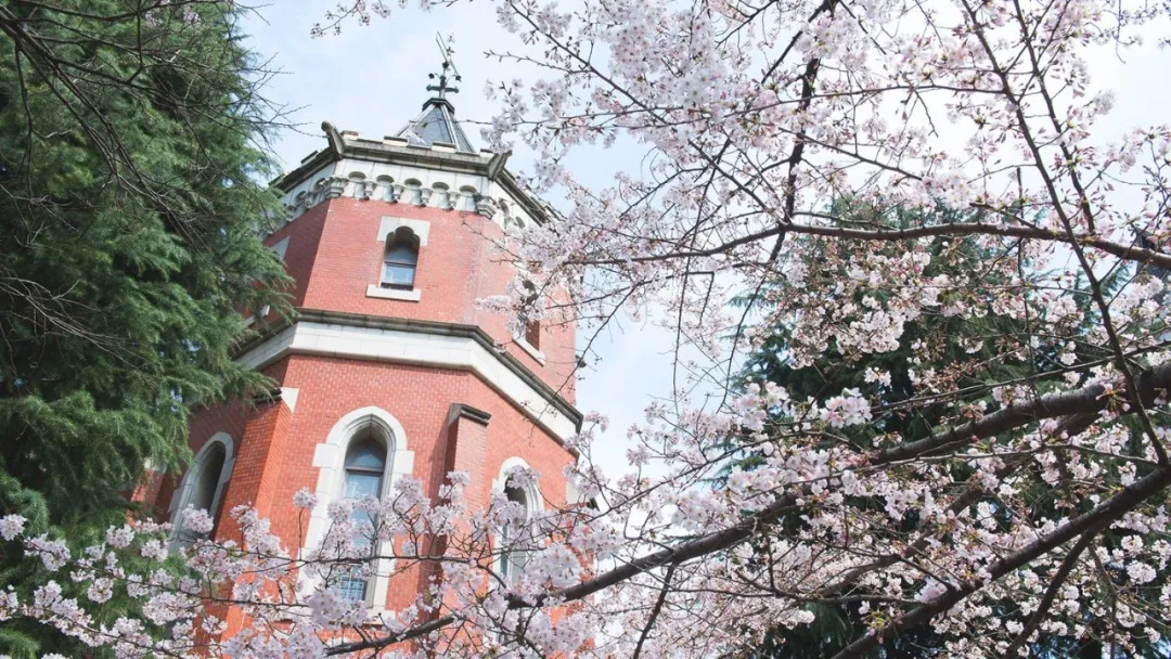 ▲早稻田大学
