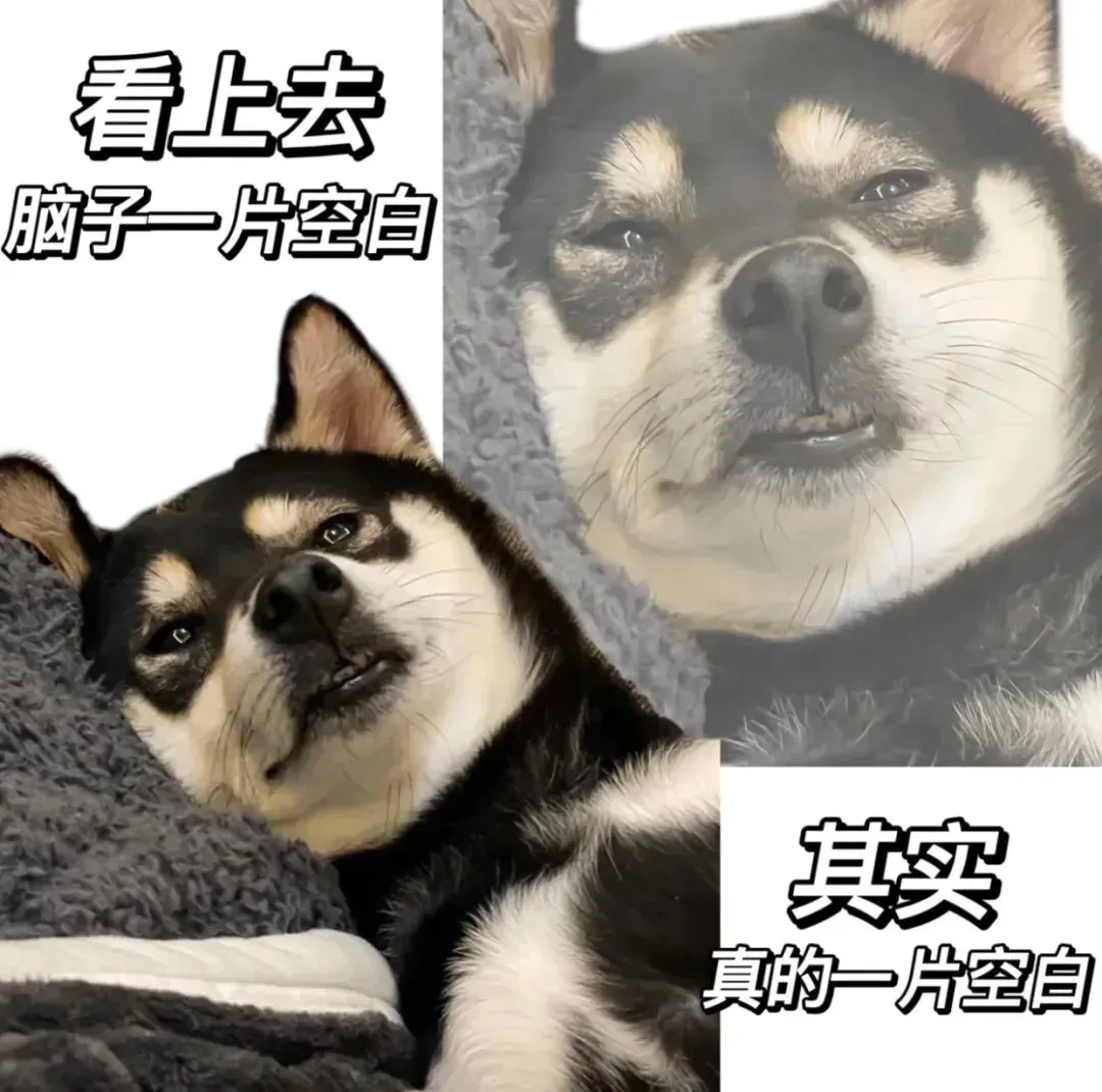 什么!听说你要去参加择校展了?快来看这份逛展秘籍,理想学府轻松get!