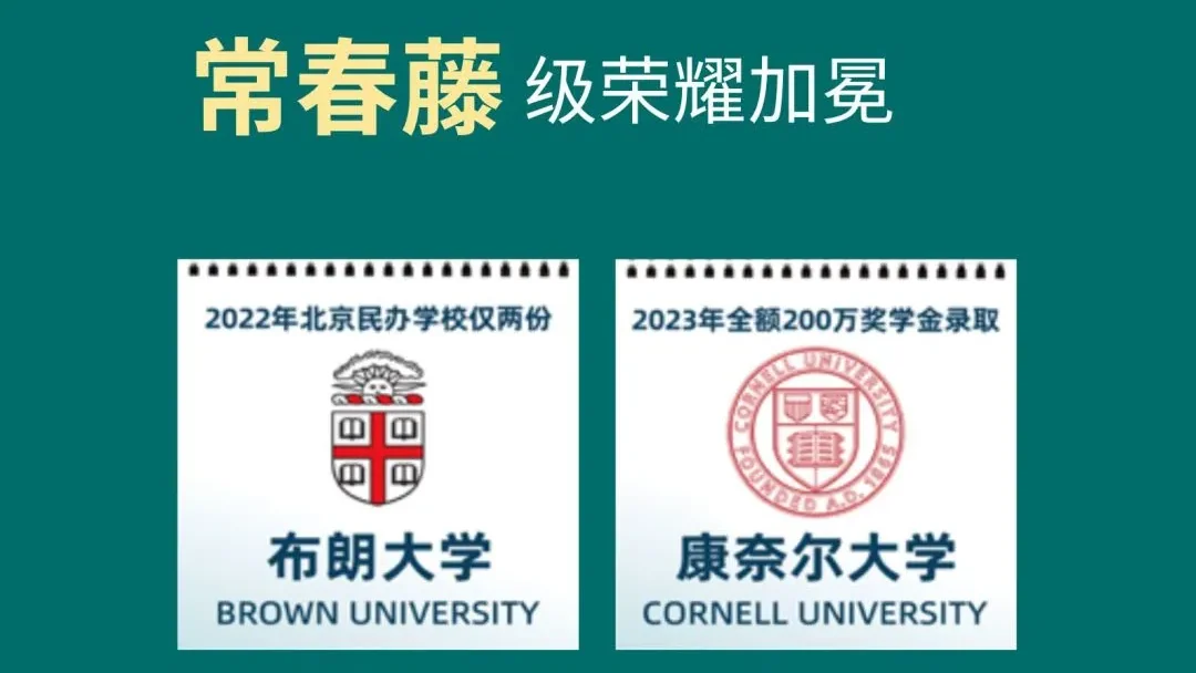 升学天团护航，青苗学子连年创录取佳绩：体系化指导，让每个梦想都有枝可依