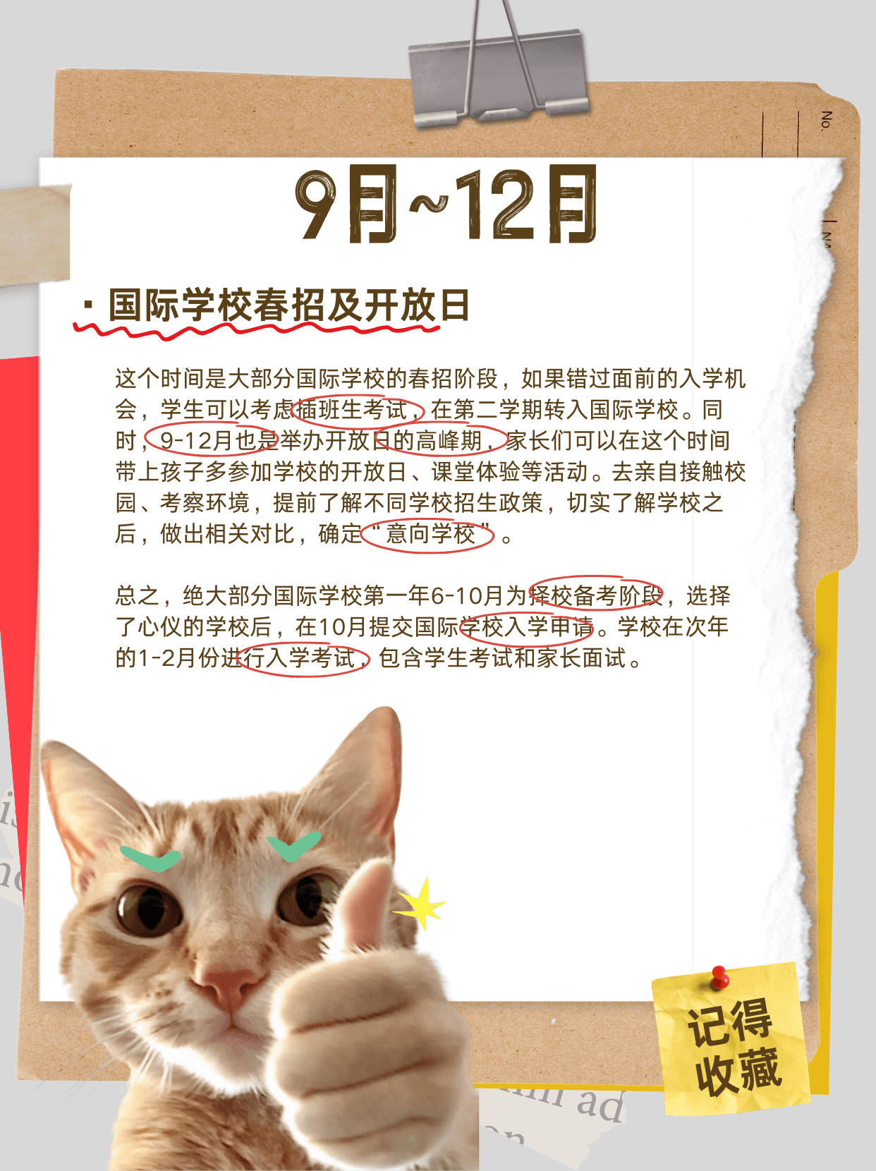 1-2月：规划筹备🔍 📚剖析课程体系：（图 4）