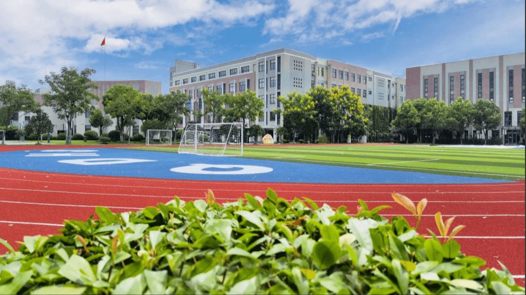七宝德怀特国际学校操场图片
