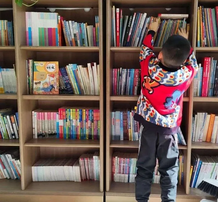 学校幼儿园及小学阶段深度践行夏洛特・梅森教育理念