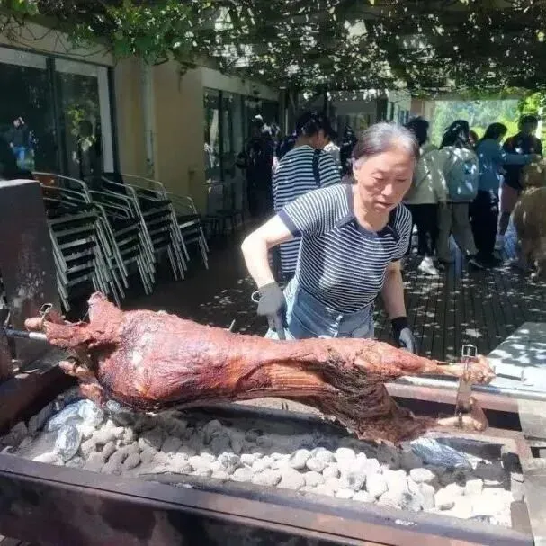 每个周末,学校还将安排丰富多彩的周末活动(图 3)