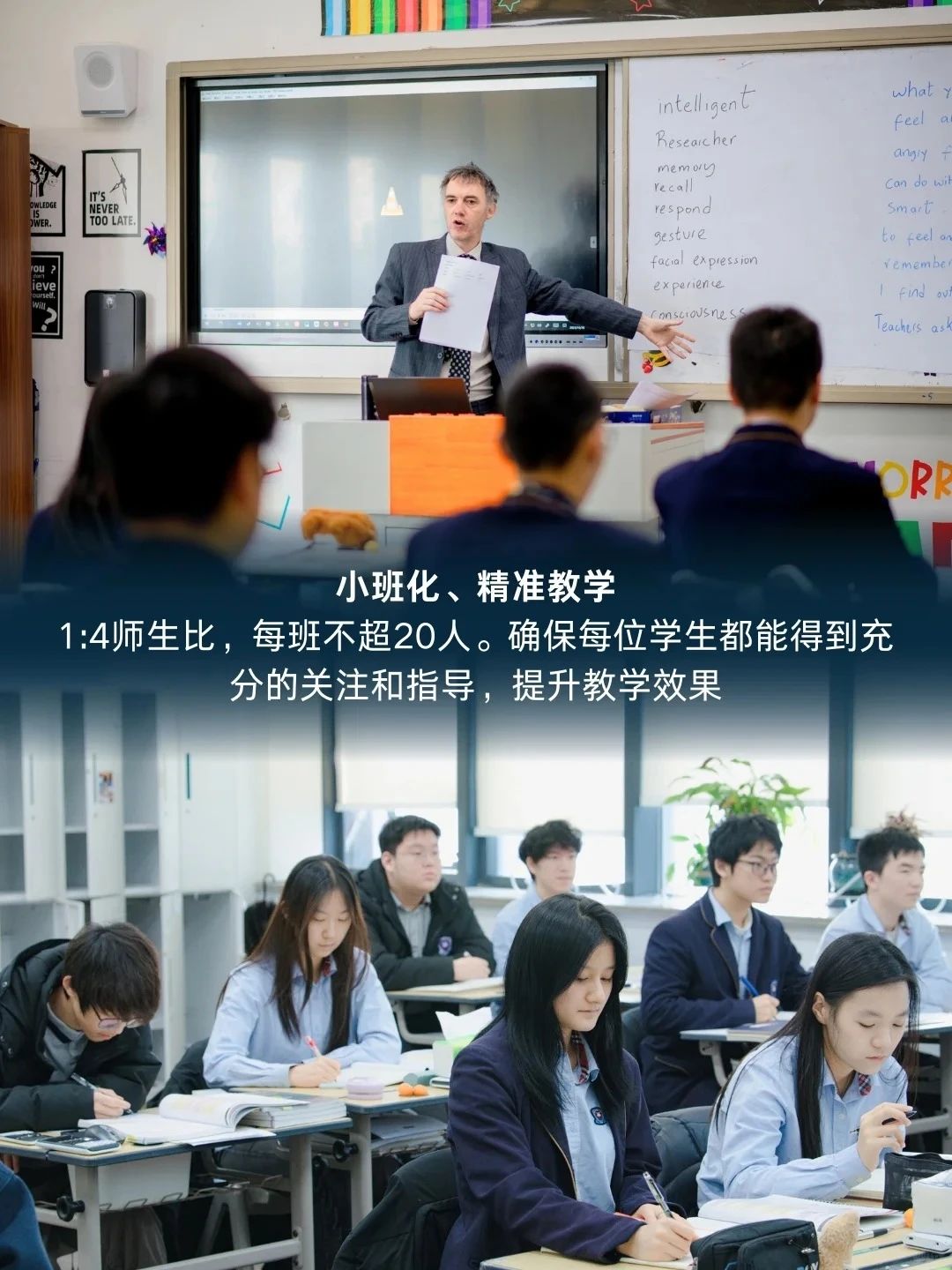 ⛵️ HKDSE课程 📖 升学方向:(图 7)