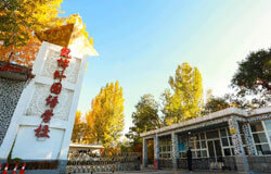 北京康福国际学校 2025 年学费大剖析：从课程到费用，全方位了解！