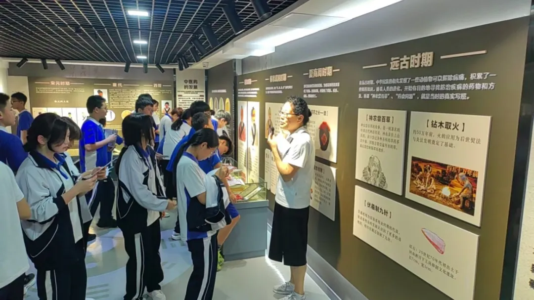 观察标本的过程中,同学们主动用 叶片狭长、气味清香、质地柔韧