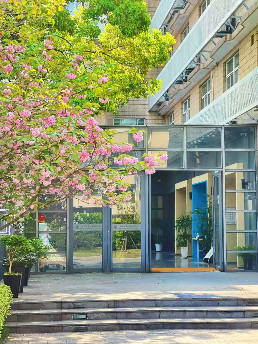上海明复日高开设以语言学习 + EJU 日本留学考试为核心的中日