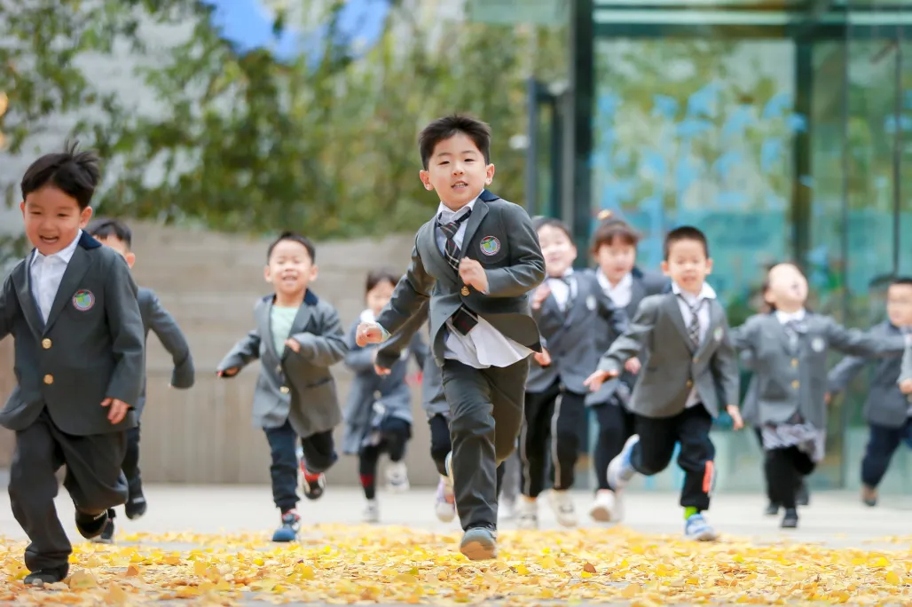 在青苗,孩子不止于学知识,更学会如何学习;