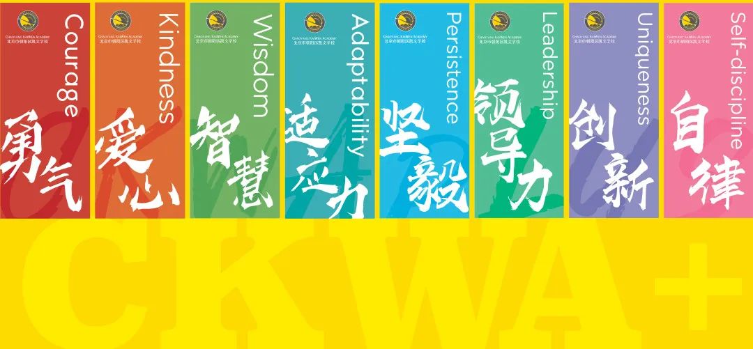 从凯文出发,向世界奔跑