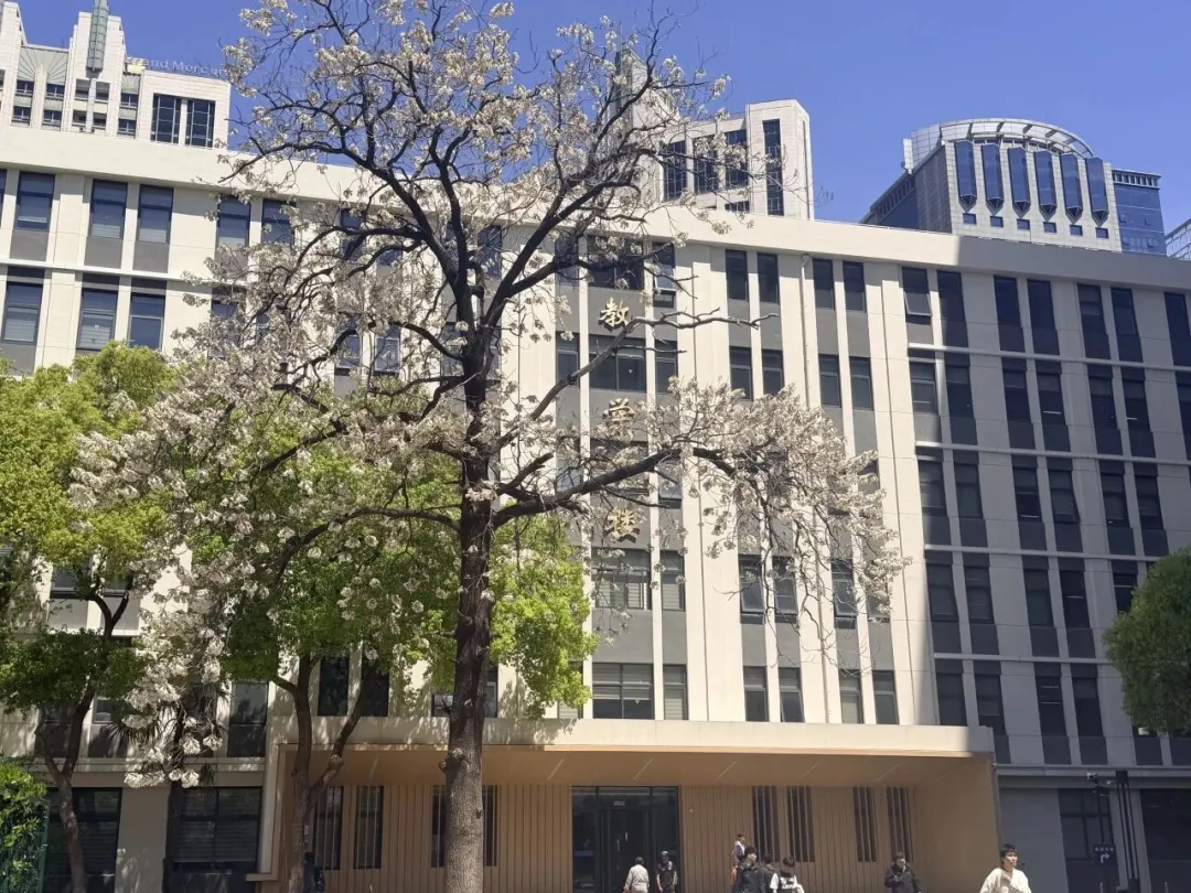 学校依托上海工程技术大学 19 个二级学院