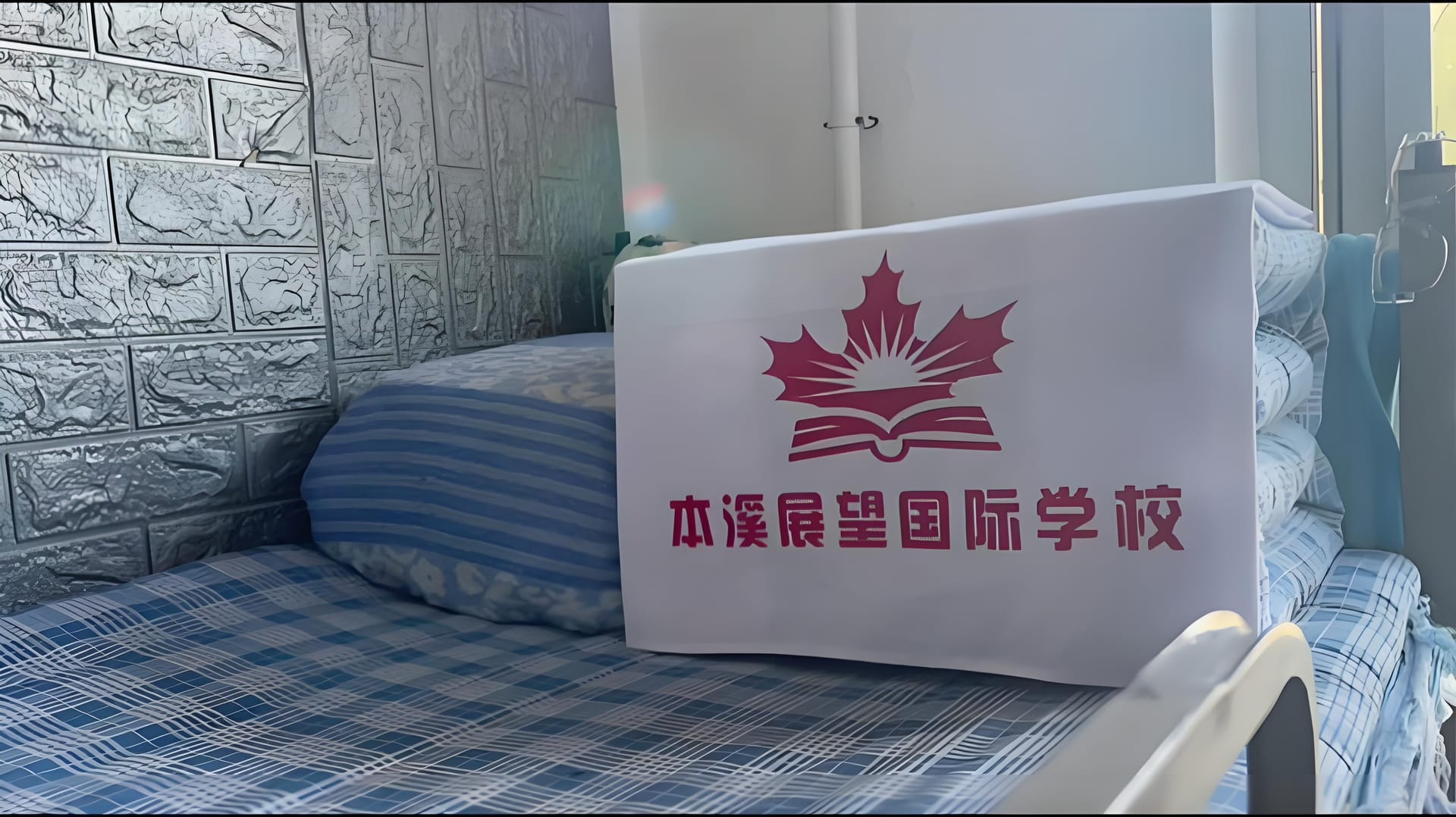 快来瞧一瞧本溪展望国际学校大揭秘啦