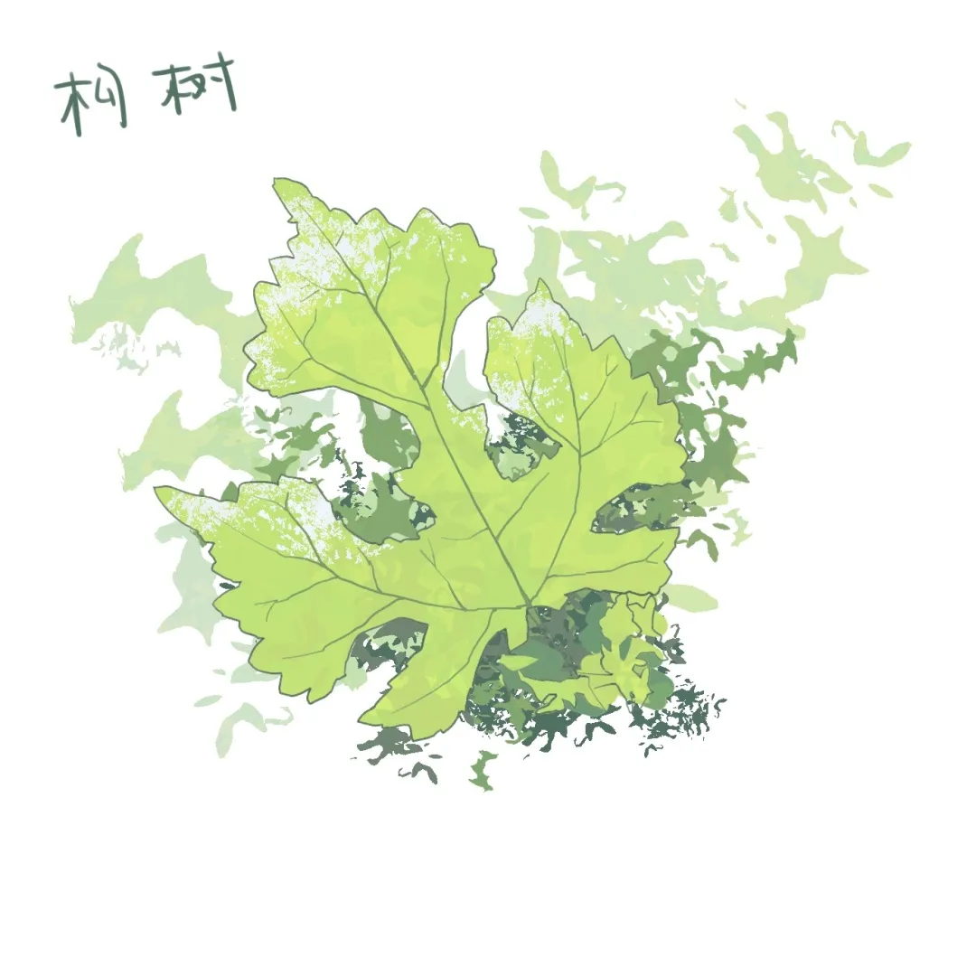 第二章 植物之美：诗歌与绘画 则具有不同的趣味。（图 4）