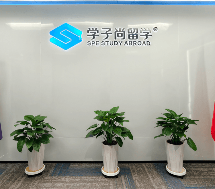 2025国际在线教育展播丨学子尚留学