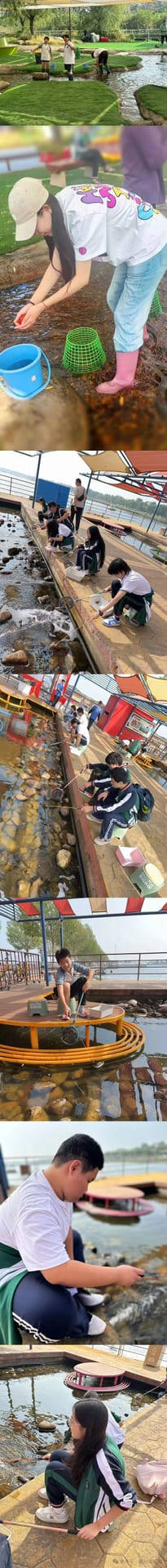这何尝不是一种项目制学习?目标明确,过程充满挑战与协作