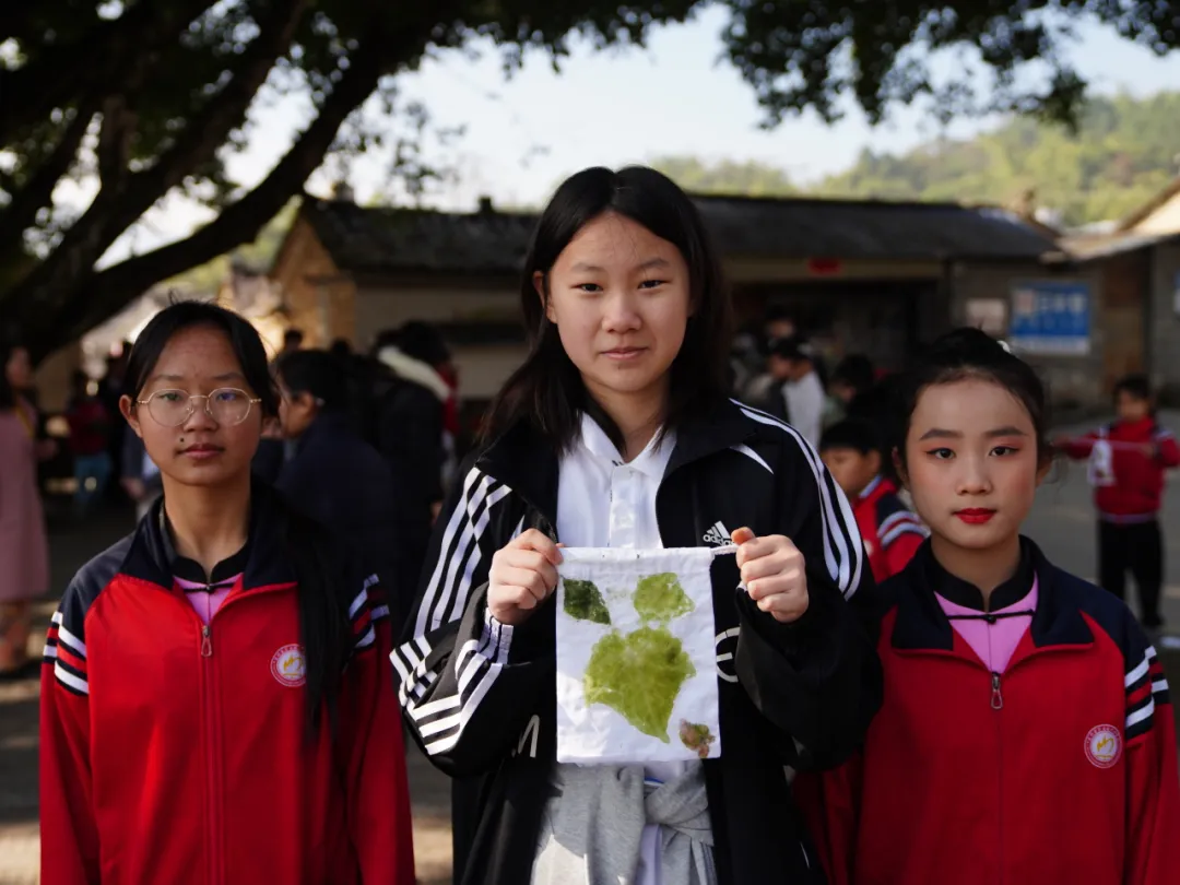 少年们走向 高黎贡山。在原始森林的怀抱中徒步（图 2）