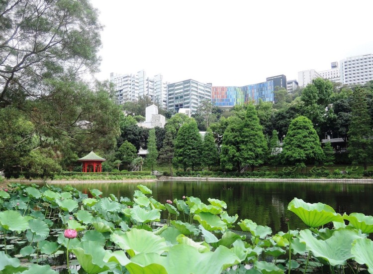 2025高招进行时丨香港中文大学在世界学术界教育界均享有一席之地 多项排名位居世界前列 计划招生400人 2025高招进行时丨香港中文大学在世界学术界教育界均享有一席之地 多项排名位居世界前列 计划招生400人_fororder_4