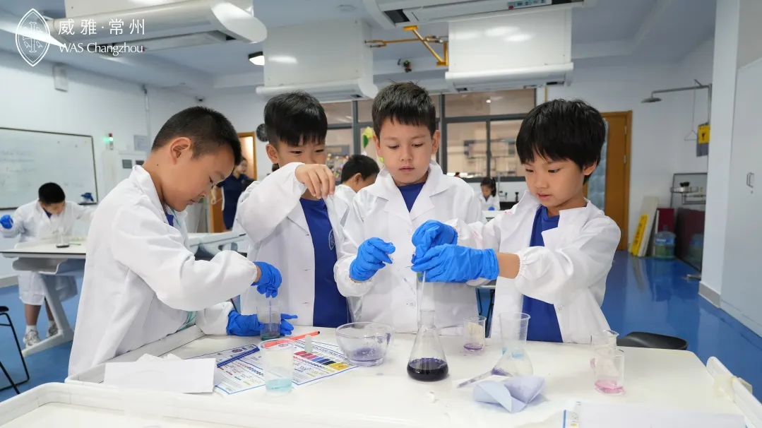 这种行业洞察式的教学，能帮助孩子拓宽视野，发现自己的兴趣所在