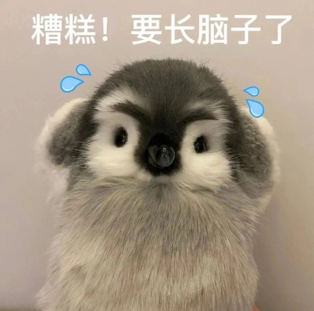 有疑问就会有解答。只有知道每个阶段要做什么
