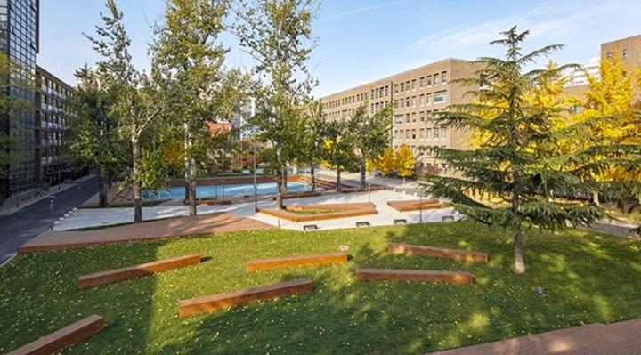北京新亚国际学校怎么样？家长实探+暖心趣事全解析