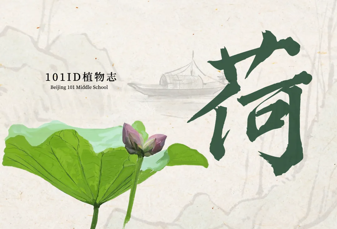 嗨，送你两张明信片（图 5）
