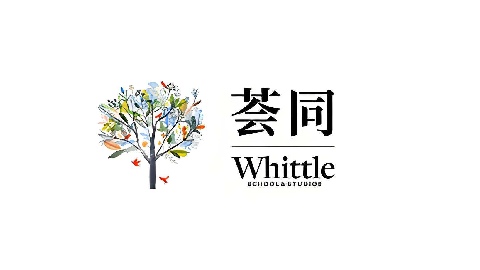 幼儿园阶段在 2024 - 2025 学年