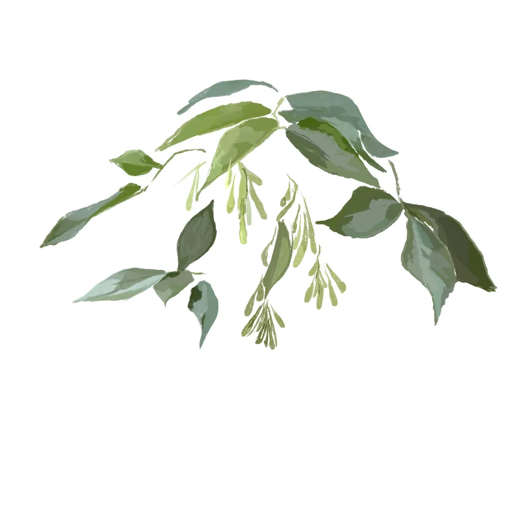 第二章 植物之美：诗歌与绘画 则具有不同的趣味。
