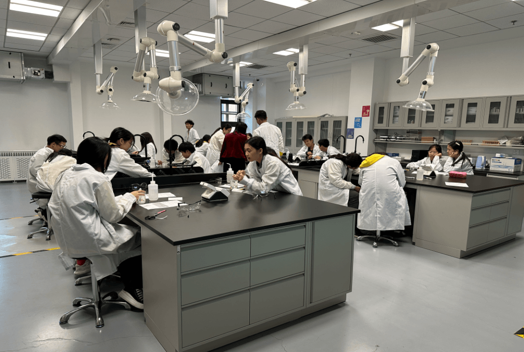 基于这样一种跨学科的融合教育,朝阳凯文的学生也逐渐学会了以多元化