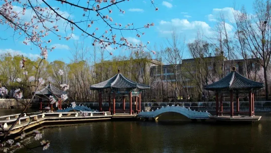 数理融合课程+多课型英语课程+文理跨修课程+社团+社会实践。