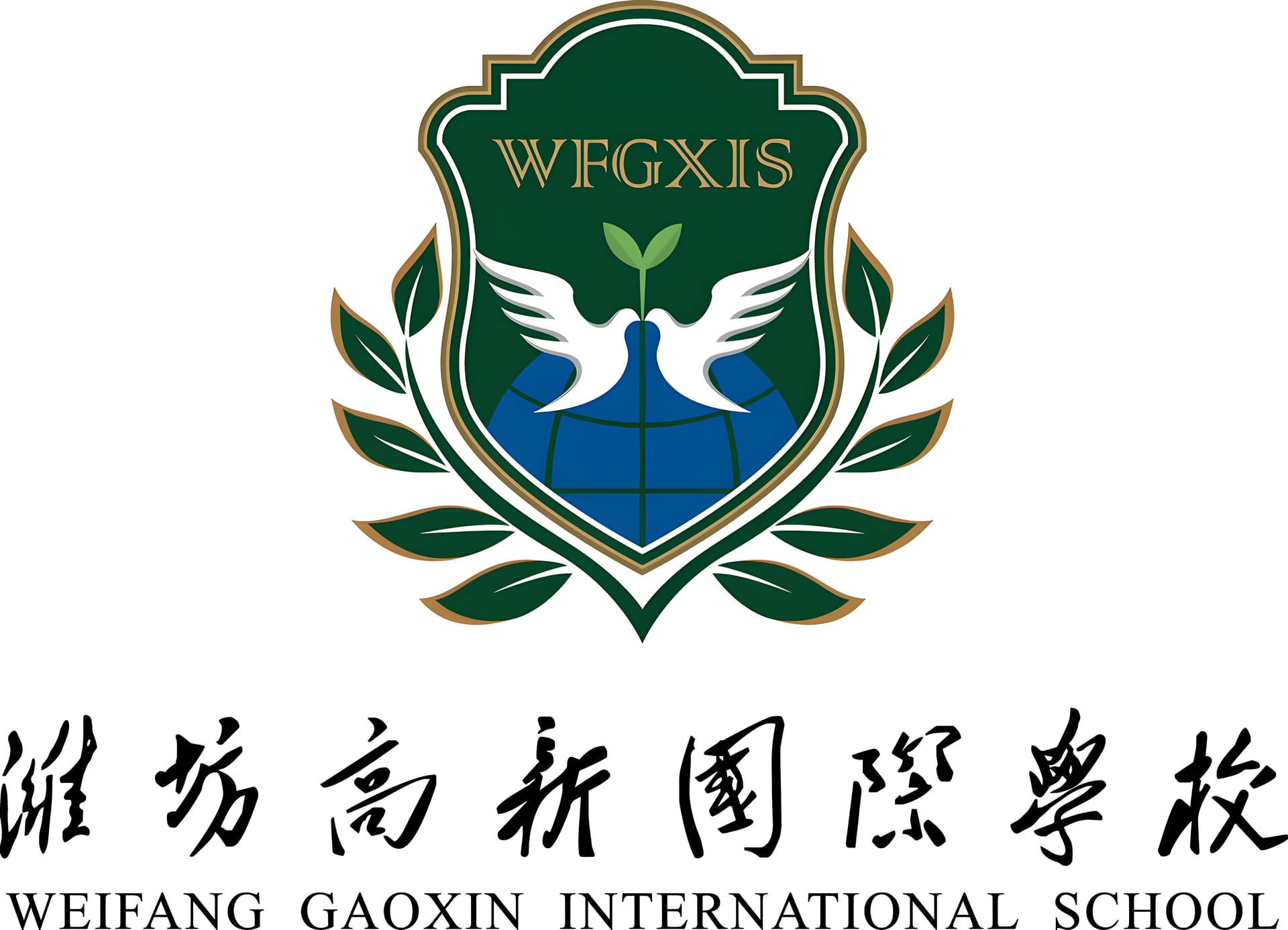 潍坊高新国际学校