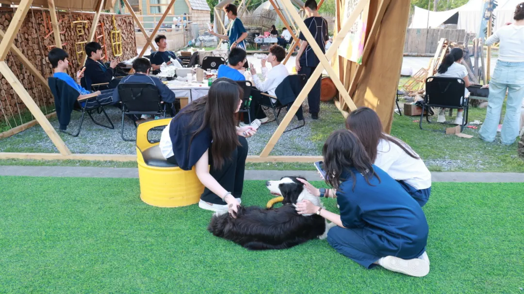招生对象面向持有外国护照、港澳台居住证及绿卡的适龄学生