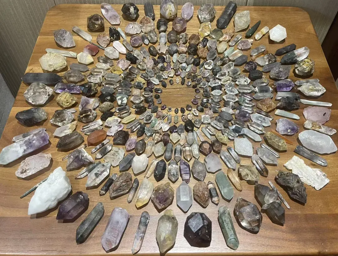 包校毕业生故事:十二年浸润,扎根大地的韧性与从容生长的力量