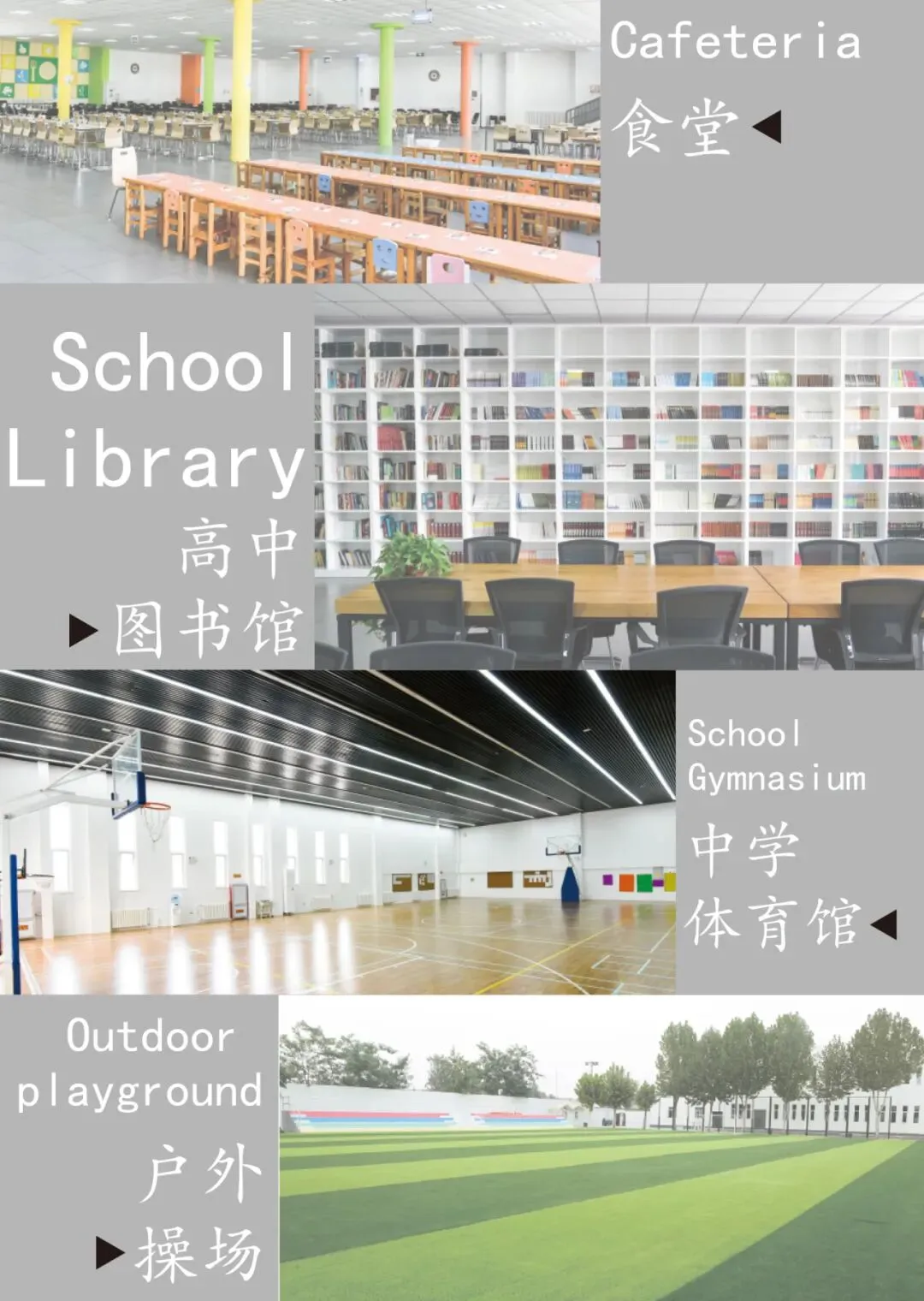 聚焦校园环境