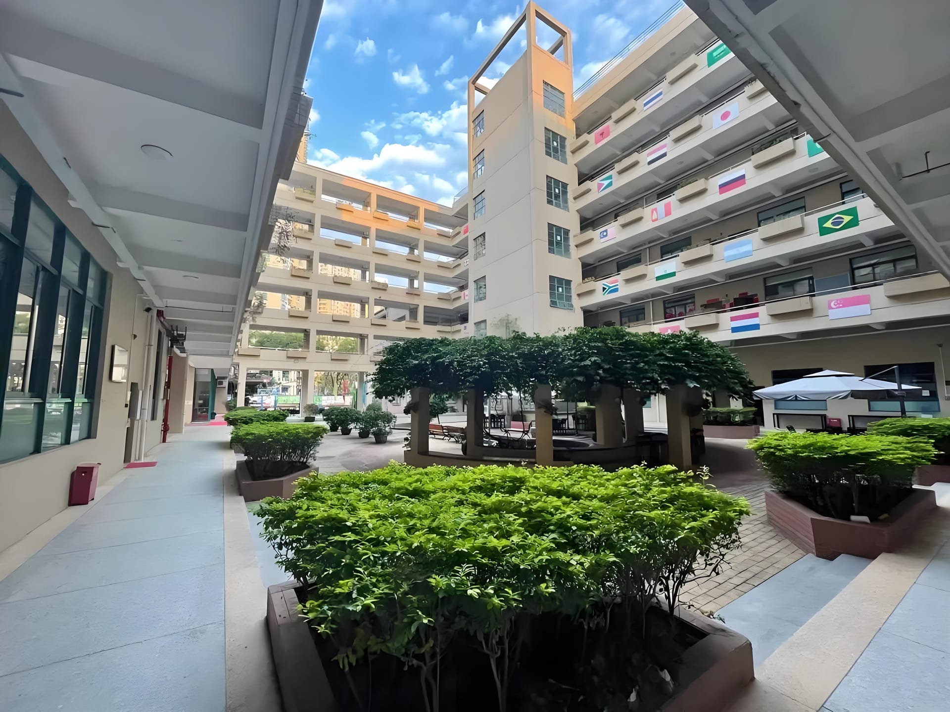 深圳城市绿洲国际学校怎么样?