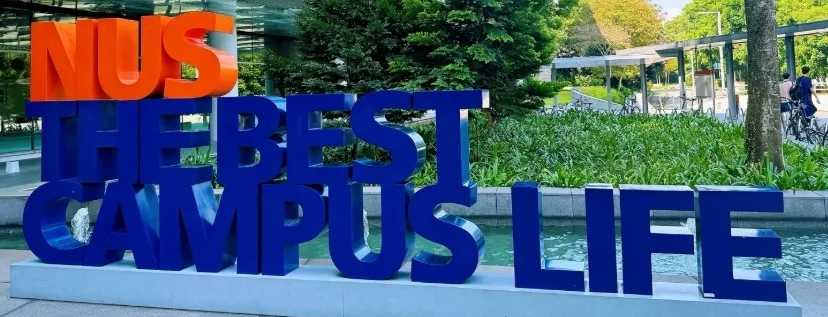 想去新加坡留学?申请途径+升学规划一键get!