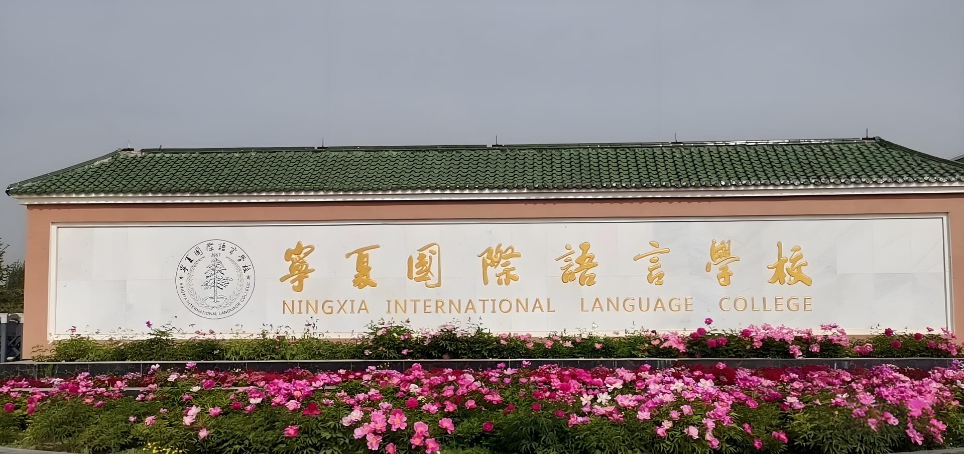 宁夏商贸职业学校的奇妙成长之旅