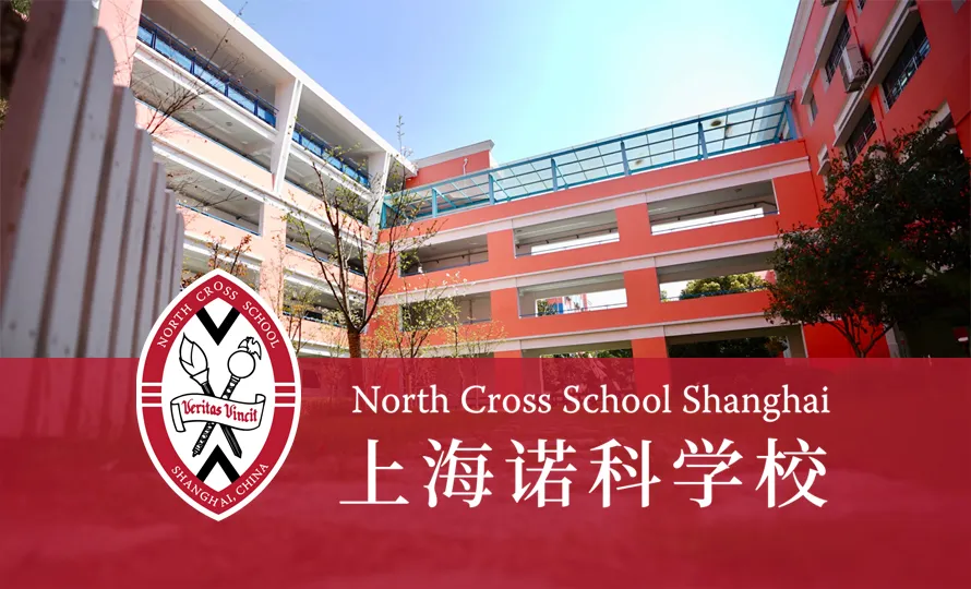 上海诺科学校实用急救全攻略:避开误区、掌握方法,做自己的生命守护者