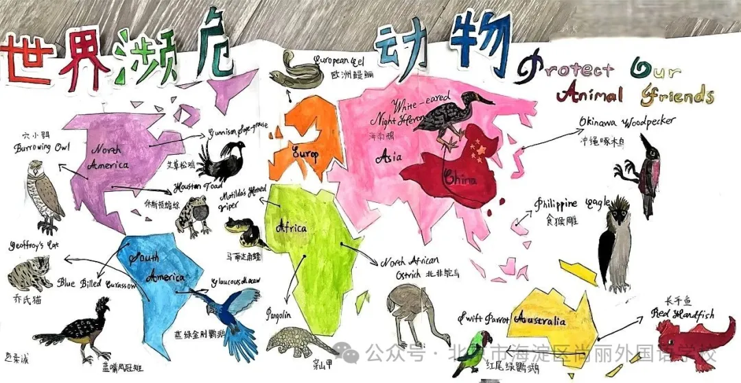 在自然的舞台上,扬子鳄、中华凤头燕鸥