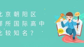 北京朝阳区哪所国际高中比较知名？