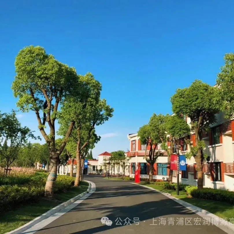 跨年级的分层走班制,课随学生走,学生可以根据自己的特点(图 2)