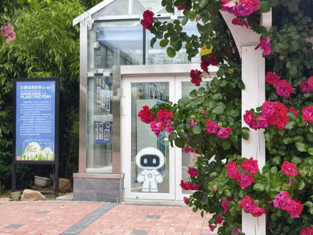 校园智慧植物工厂怎么做?北京中芯学校 “生态魔法屋” 分层跨学科劳动实践课程完整案例