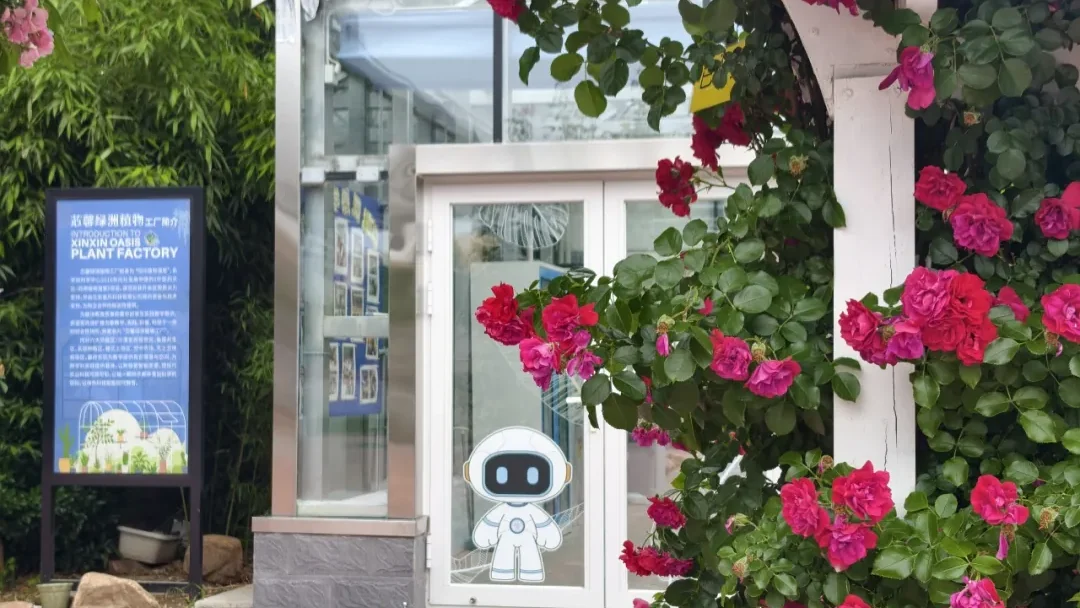 校园智慧植物工厂怎么做?北京中芯学校 “生态魔法屋” 分层跨学科劳动实践课程完整案例