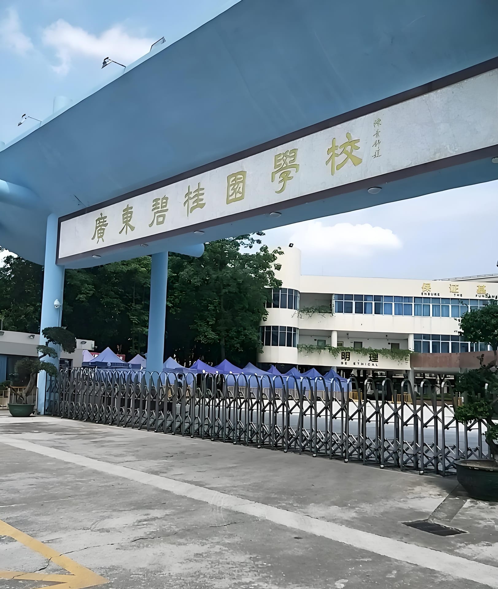 广东碧桂园国际学校