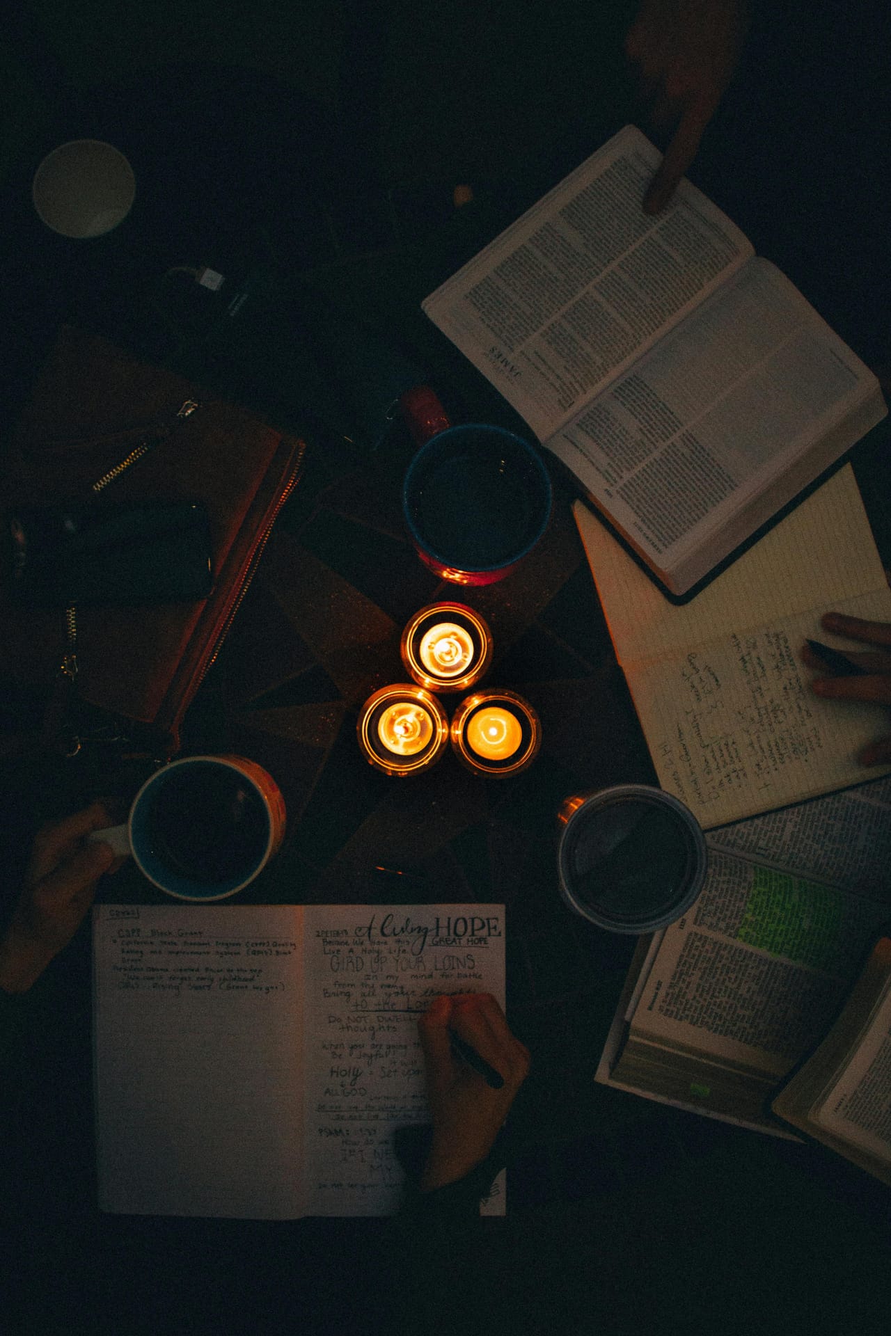 苏州的国际学校普遍配备了专业的升学指导团队