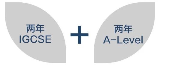 高中(K9-K12/K10-K12)国际金牌课程