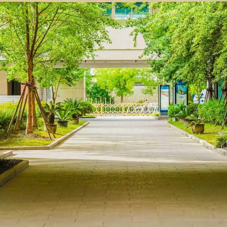 学校与宿舍往返由校车接送。以方便学生上学和放学。(图 6)