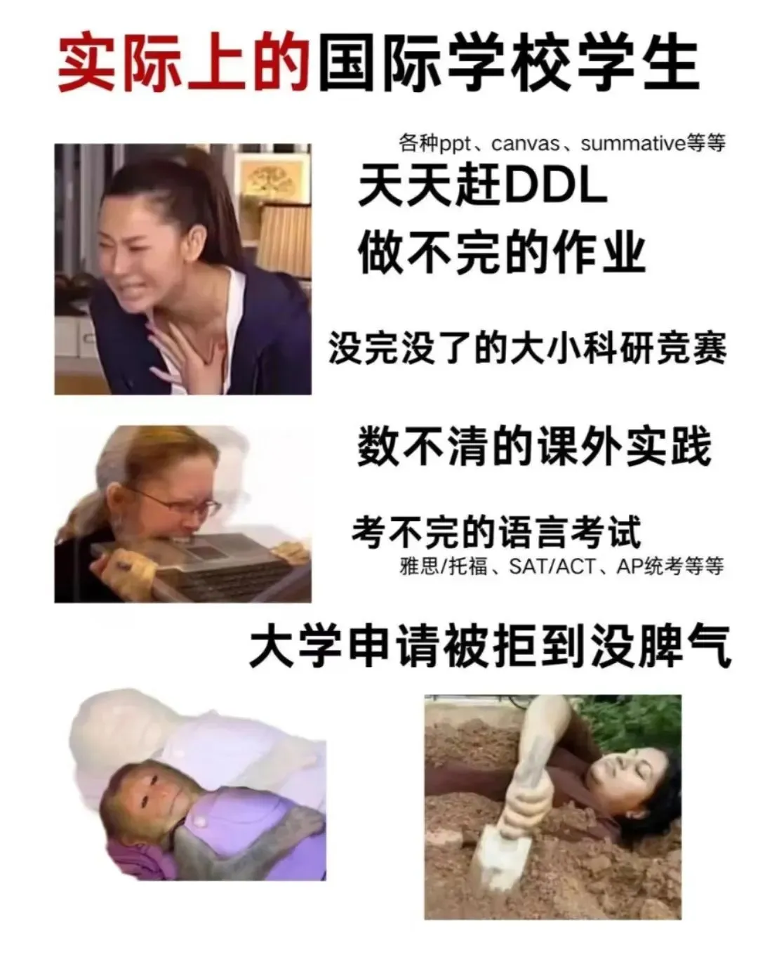 👇你以为的国际生VS实际上的国际生👇(图 2)