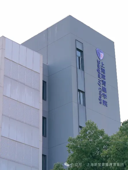 全人发展活动及社团Club佳绩（图 3）