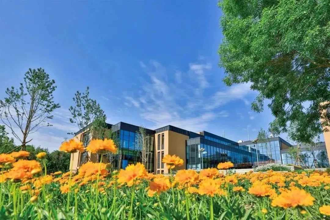 07.北京海淀凯文学校