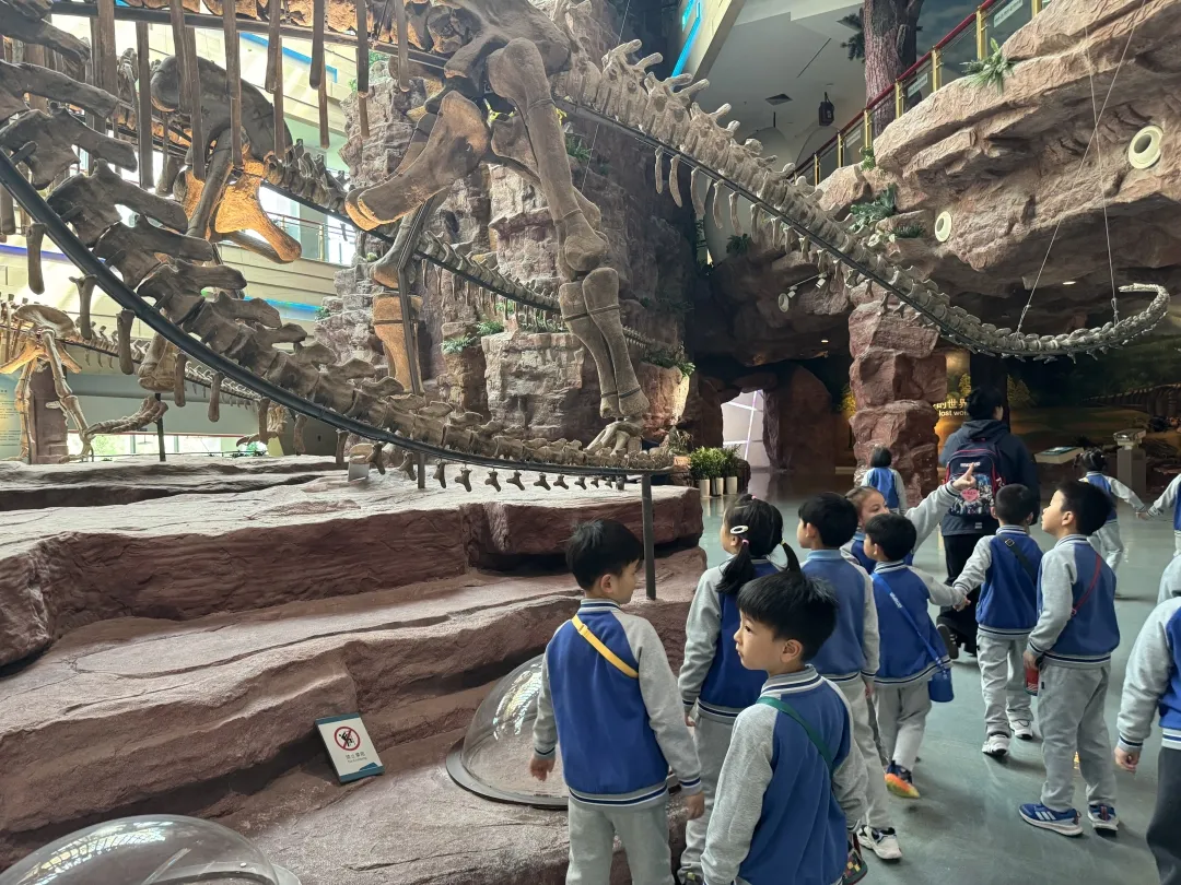 同时,幼儿园注重家园协同,鼓励孩子将探究活动中的环保理念带回家